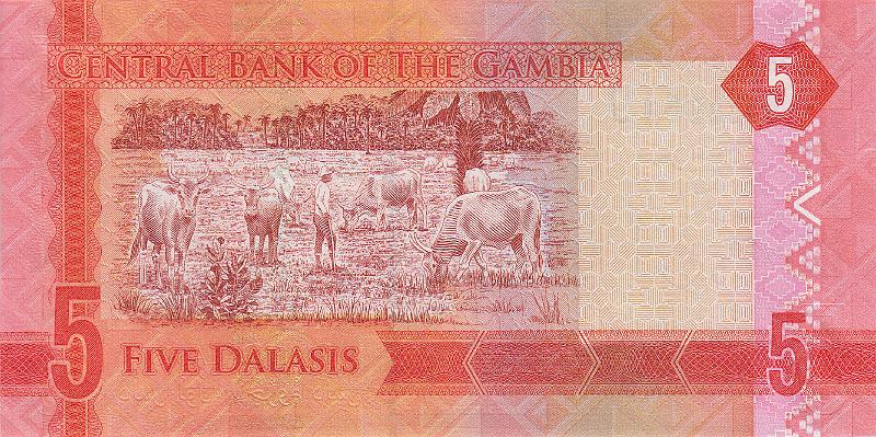 GMD_04_B.JPG - Gambia, 5 dalasis, UNC.